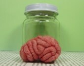 Specimen Jar Brain Anatomical Curio C1