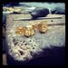 Swarovski Crystal Stud Earrings