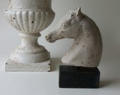 one mini horse head