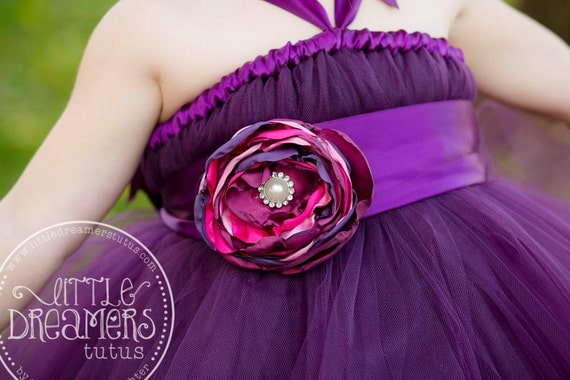 Plum Tutu Dress w/ Flower Sash