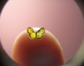 Still-Life Dogface Butterfly in Dollhouse Miniature Scale - 5/32" Wingspan