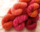 Mini Skein 5pack: Peach Melba