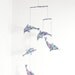 Fruity Dolphin Pod