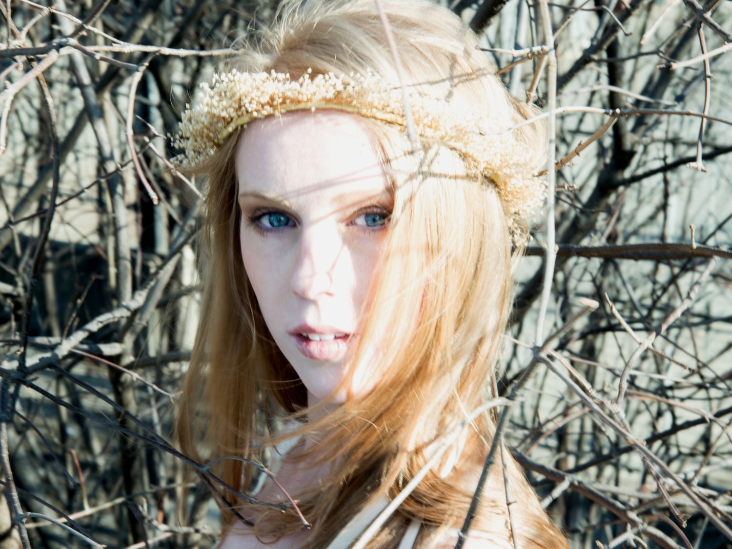 Babys breath flower crown, fall headwreath Bridal hair accessory, summer wedding headpiece, natural headband, preserved gyp halo