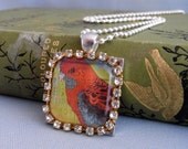 rosella, australian parrot, postage stamp pendant, deluxe rhinestone editon