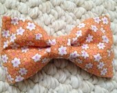 Little Man Bow Tie