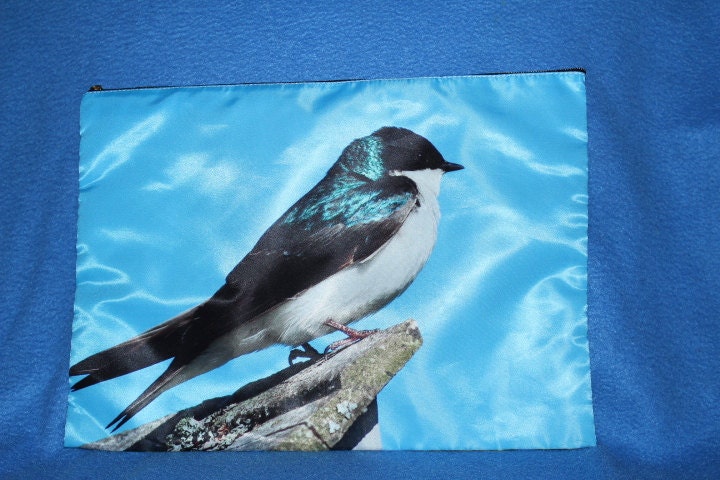 Bird and Butterfly Pouch or Cosmetic Bag  - XXL 13 x 9.5 inches Tree Swallow and Swallowtail Butterfly Photos