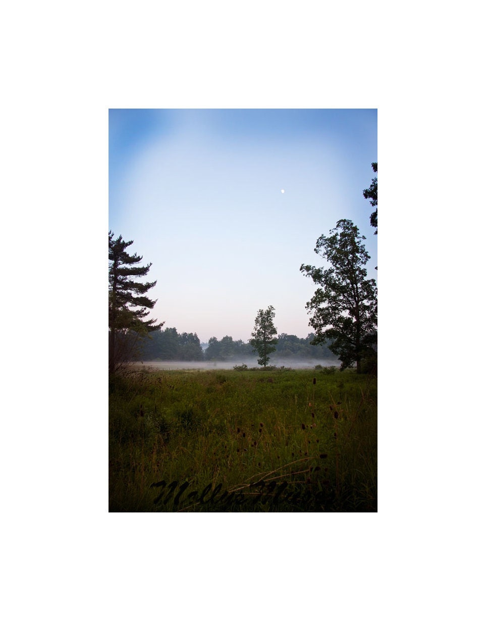 Dusk Landscape photography, Home Decor, Office Decor, Neutral, Tiny Moon photo High Above Fog Trees and Grass 8x10 fine art
