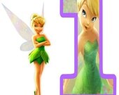 Personalized Tinkerbell Fairy  Birthday T Shirt Any Name Any Age