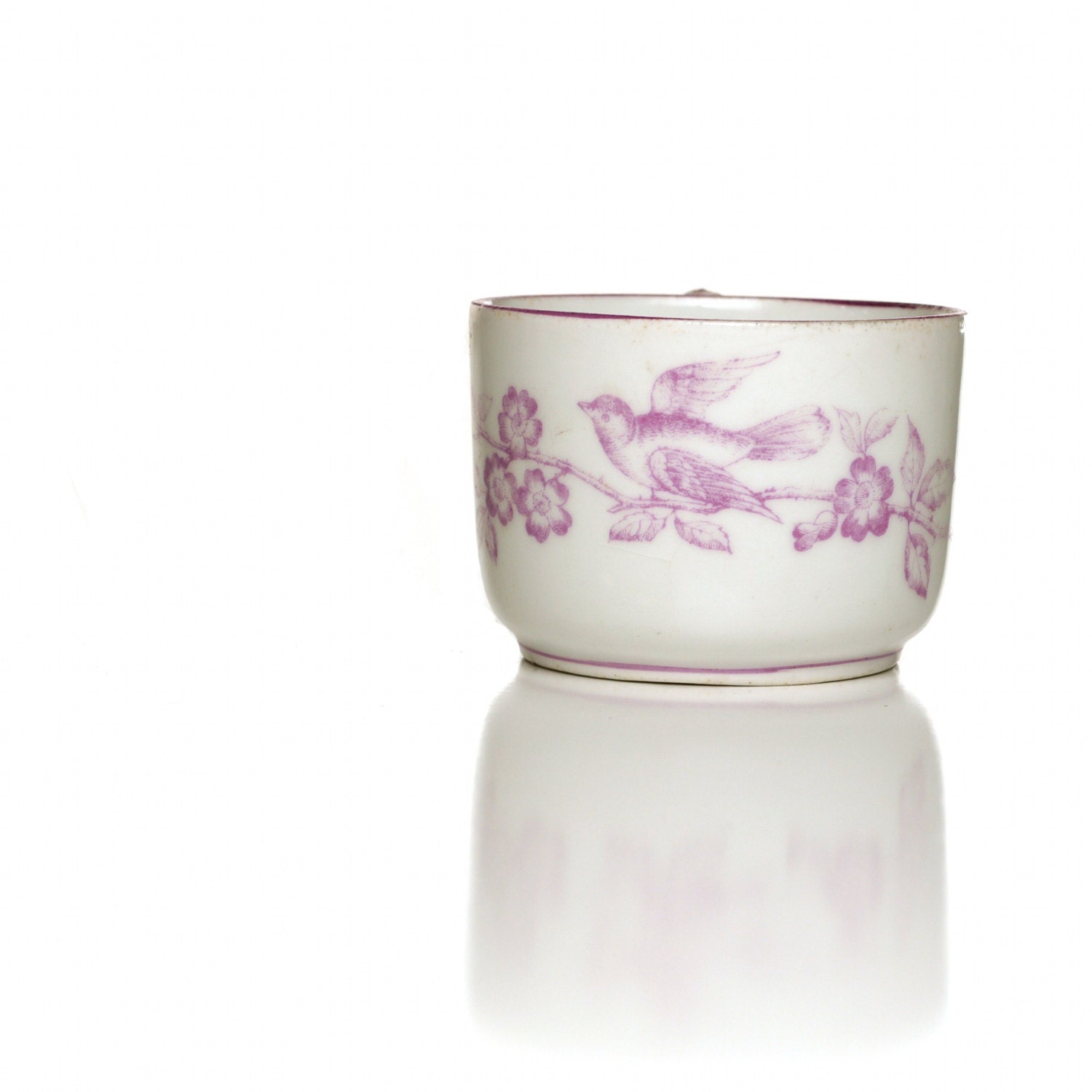 Antique Transferware Teacup, Spring Bird & Cherry Blossom