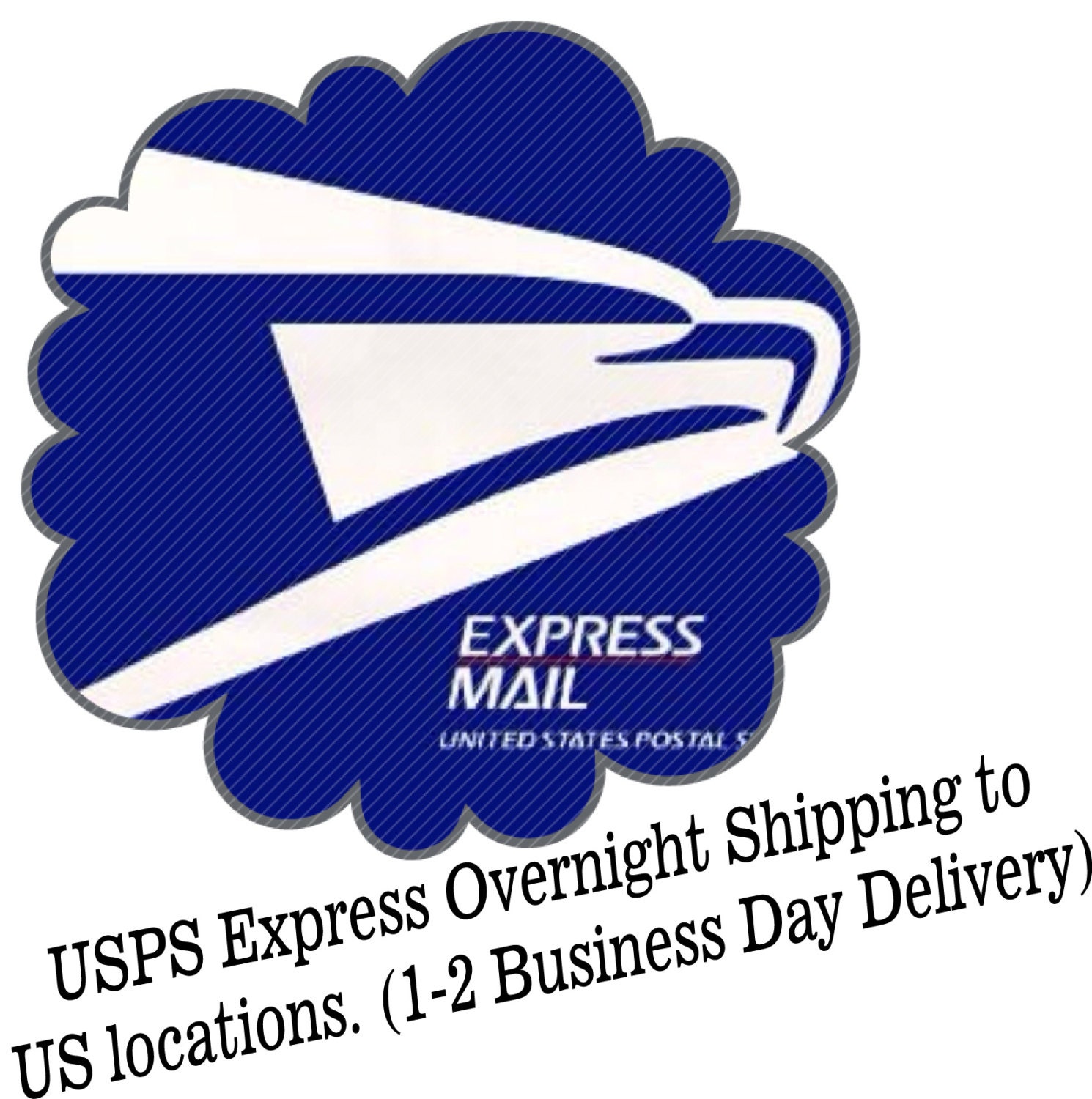 USPS EXPRESS Overnight Shipping within the US- Upgrade