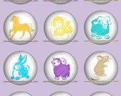 Chinese Zodiac Magnets