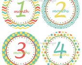 Gender Neutral Baby Monthly Onesie Stickers Multi Fun Colors Boy Girl New Mommy GIFT