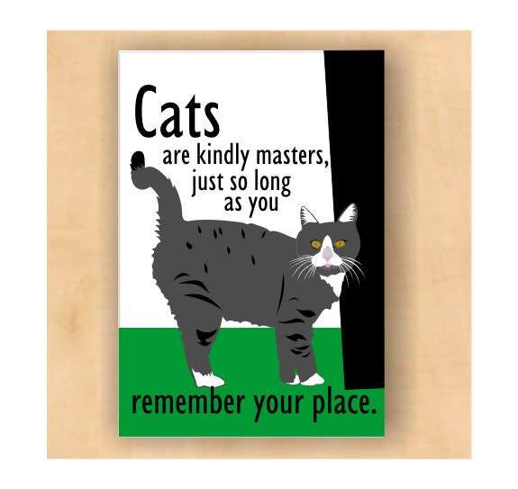 Cat Magnet Remember Your Place 2 x 3