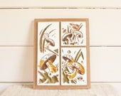 Vintage Chalkware Wall Hanging, Forest Mushrooms