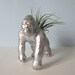Upcycled Toy Planter - Large Silver and Gold Polka Dot Gorilla with Air Plant