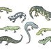 Salamanders whimsical ink drawing 5x7 print