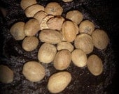 Whole Nutmeg