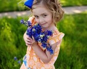 Pocket Full of Daisies Flutter Sleeve Dress  - sizes newborn - Girls 7