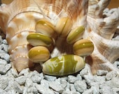 Handmade Lampwork Bead Set (7)  ivory cream  CURDLED