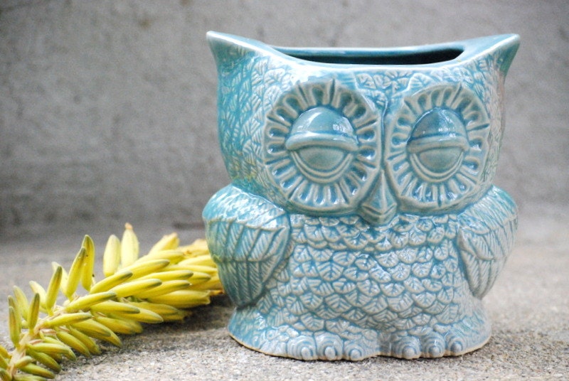 owl planter in robins egg indoor planter vase pencil holder