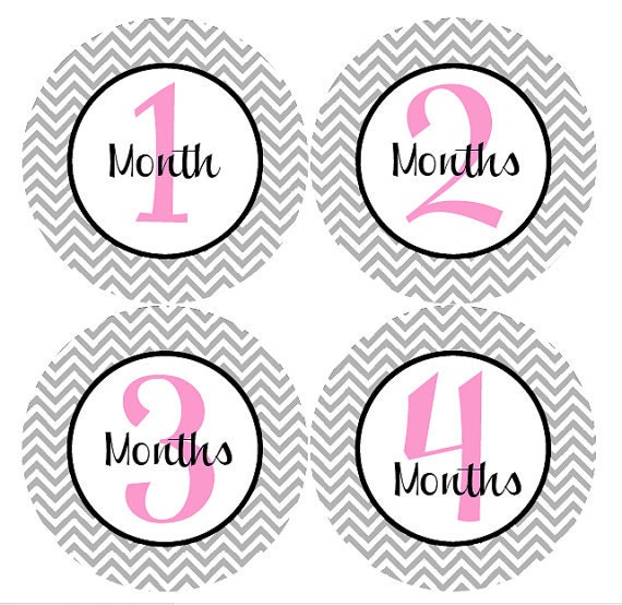Girl Monthly Onesie Stickers - Girl Baby Monthly Stickers - Pink and Grey Chevron Girl Month Stickers - Carmen Il_170x135