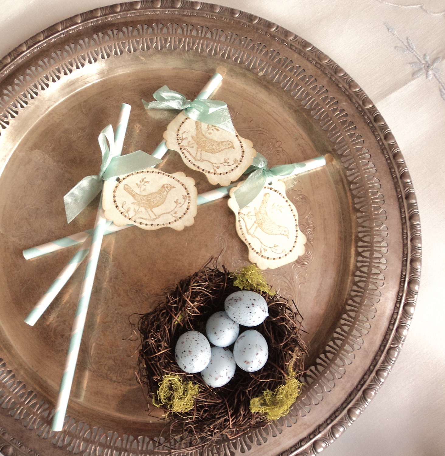 For the Birds. 10 Robin's Egg Blue and White Paper Straws with Bird Tags