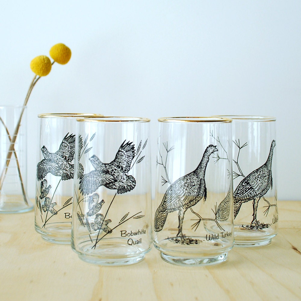 Vintage Bird Highball Glasses - Quail Wild Turkey
