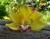 Orchid Flower Hair Clip-Weddings, Beach Destination Weddings, Vacations, Tropical Flowers, Hawaiian, Paradise, Floral Hair Clips
