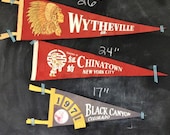 Instant Collection of Souvenir Pennants or Flags