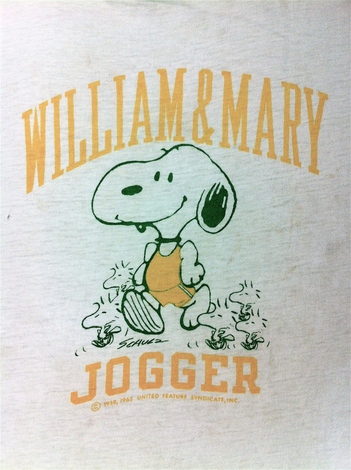 Vintage Snoopy Champion Blue Bar William & Mary 70's Ringer Peanuts T Shirt