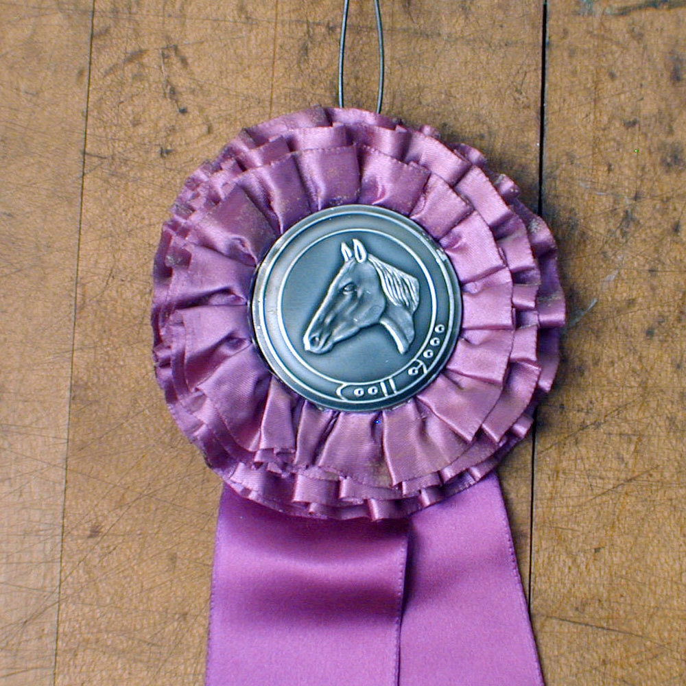 Vintage Horse Show Ribbon 1968 Bonnie Brook