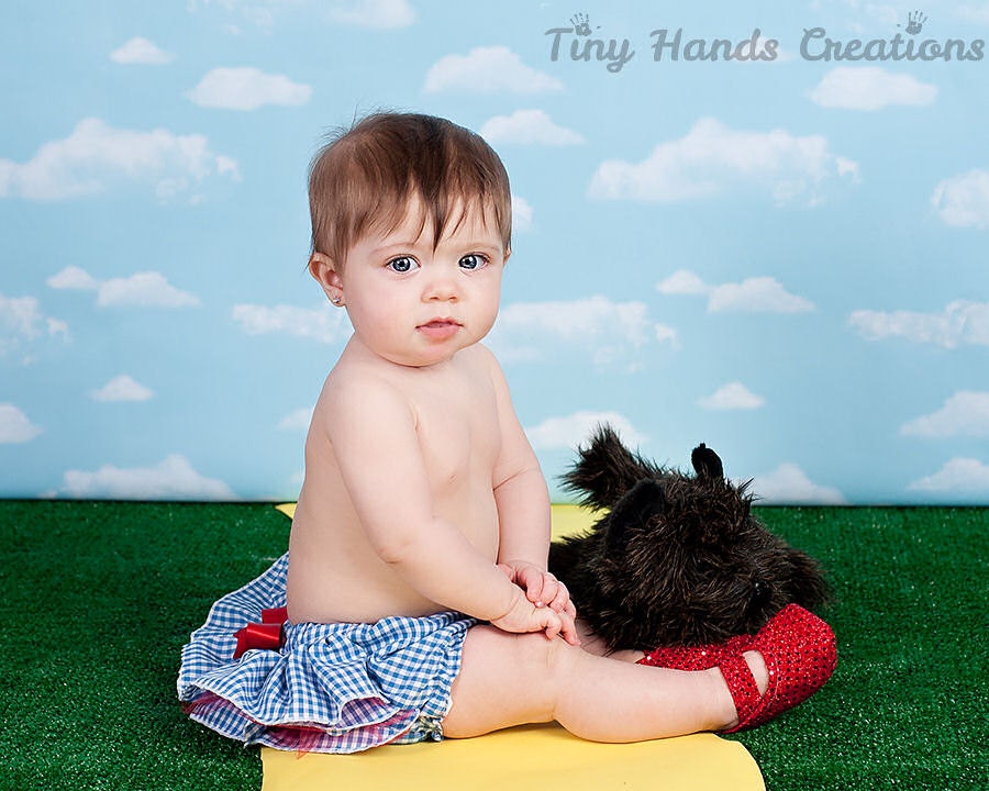 Wizard Of Oz Dorothy Blue Gingham Ruffle Diaper Cover