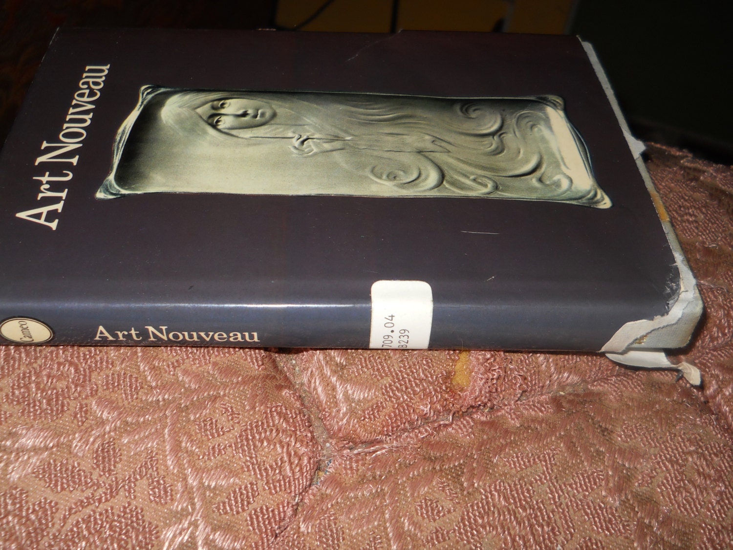 vintage rare art book ART NOUVEAU