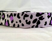 Fierce Purple Cheetah Animal Print on Light Purple Dog Collar