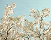 Spring Flowers - Flower photography, spring home decor, nature, white, pastel blue, blossom, bathroom decor, feminine art 8x8 Print