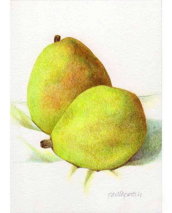 Pair of Pears - ORIGINAL Colored Pencil Drawing - D'Anjou Pears - Realistic Food Art -  Fruit Drawing
