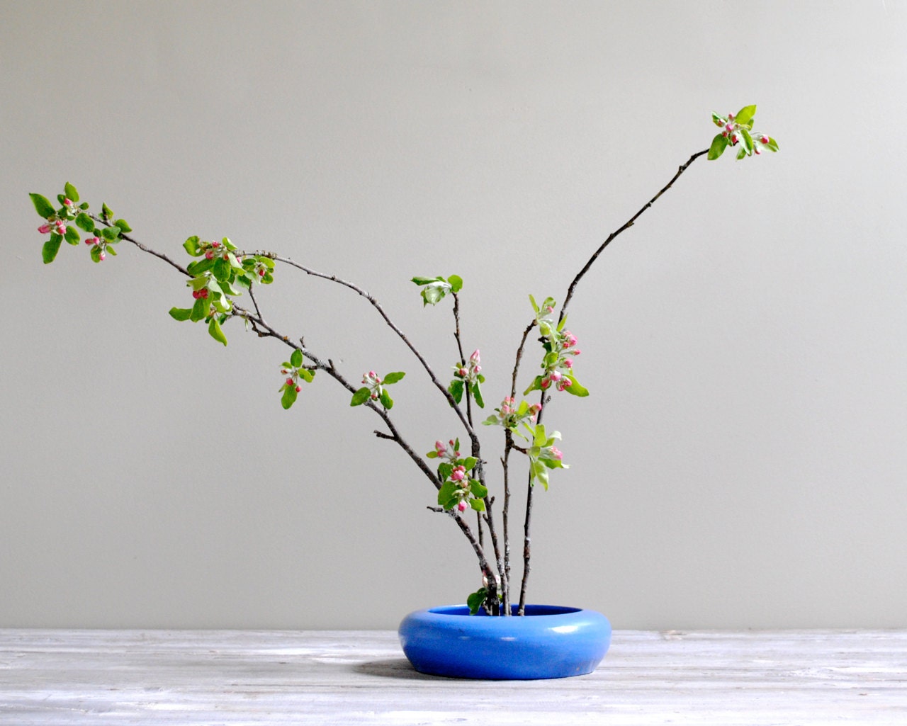 Vintage Low Flower Pot Planter with Flower Frog