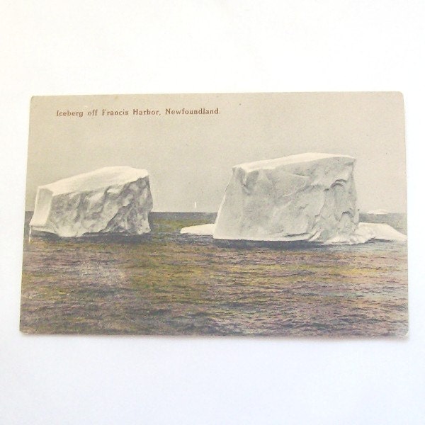 Iceburg Newfoundland Postcard Unused St. John's