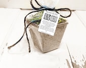 MOSS ROSE Flower Plant Kit, Easy Gardening, Container Dirt Moss Food Great Gift Organic Portulaca
