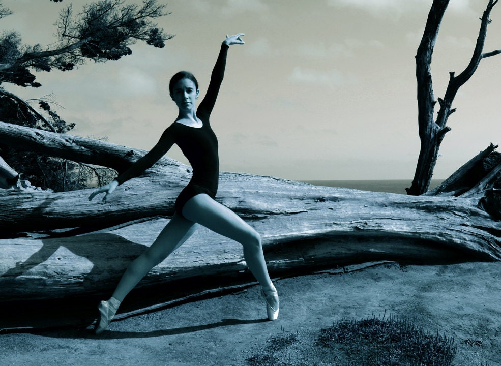 Fashion Photography Portrait Photography Ballerina and Driftwood 11x14  Fine Art Photography