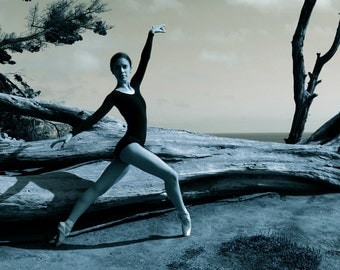 Fashion Photography Portrait Photography Ballerina and Driftwood 11x14  Fine Art Photography