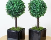 Pre-Lit Boxwood Topirary Ball Plants (Set of 2)  // Artifical Lighted w/ LED Light Topirary Plant