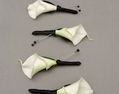 Real Touch White Calla Lily Boutonnieres Groom Groomsmen Wedding Flower Package Black Ribbon - Customize for Your Wedding Colors