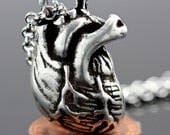Little Silver Anatomical Heart Necklace (silver-plated, antique finish, 24" silver chain, Made in NYC)