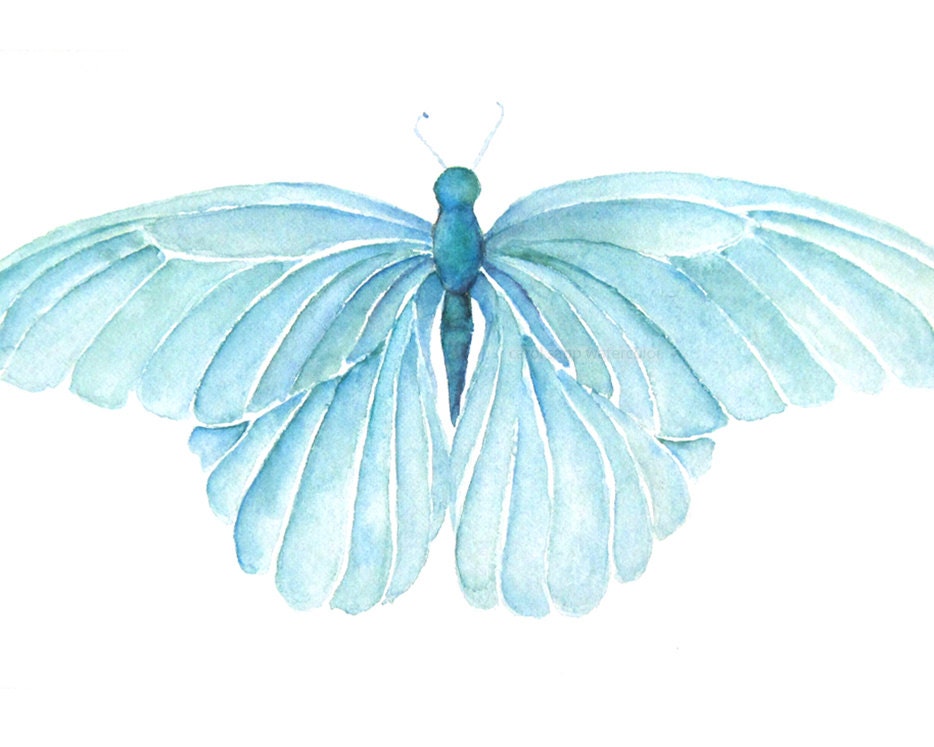 turquoise blue butterfly 8x10 print of watercolor painting