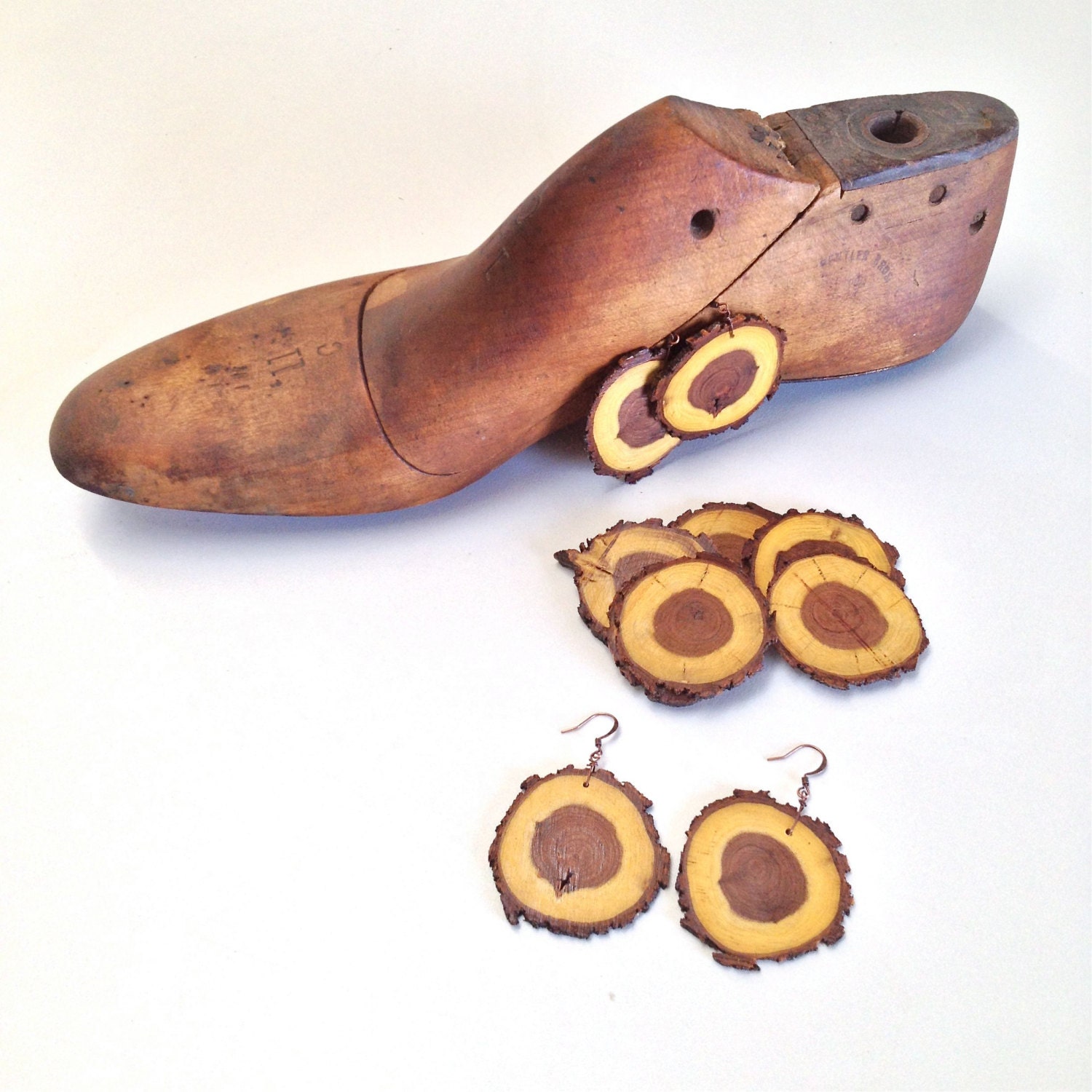 Earrings Rustic Golden Wood Slices Mesquite Tree - Free Shipping