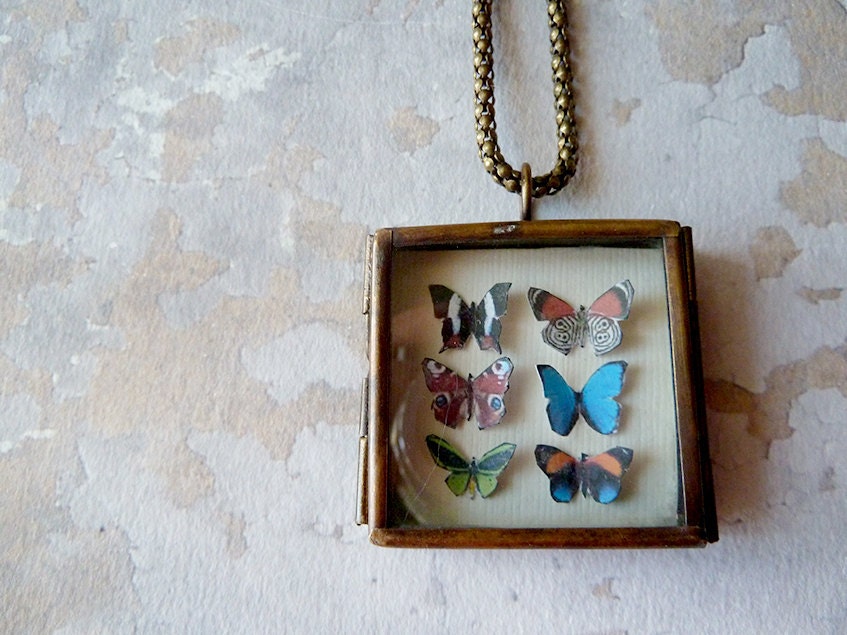 Miniature Butterfly Shadowbox Collection Necklace. Natural History. Butterfly Jewelry