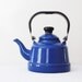 Cobalt Blue Vintage Enamel TeaPod
