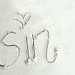 Virginia Sin